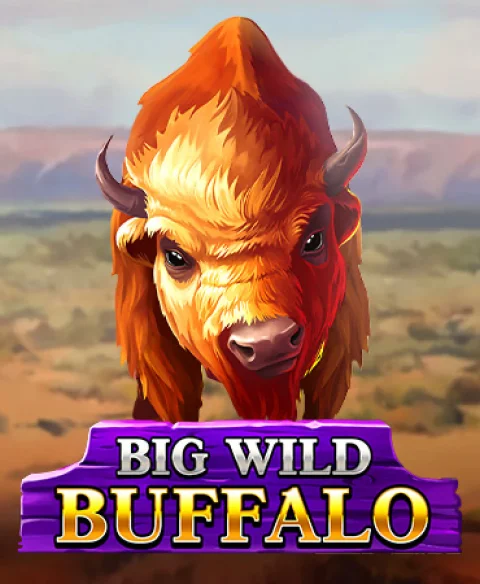 Play Big Wild Buffalo at Platinum Club Vip Casino